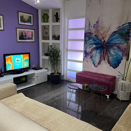 Dorotea Butterfly Apartment บุดวา ภายนอก รูปภาพ